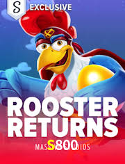 S800: A Experiência de Casino com Jogos de Mesa ao Vivo